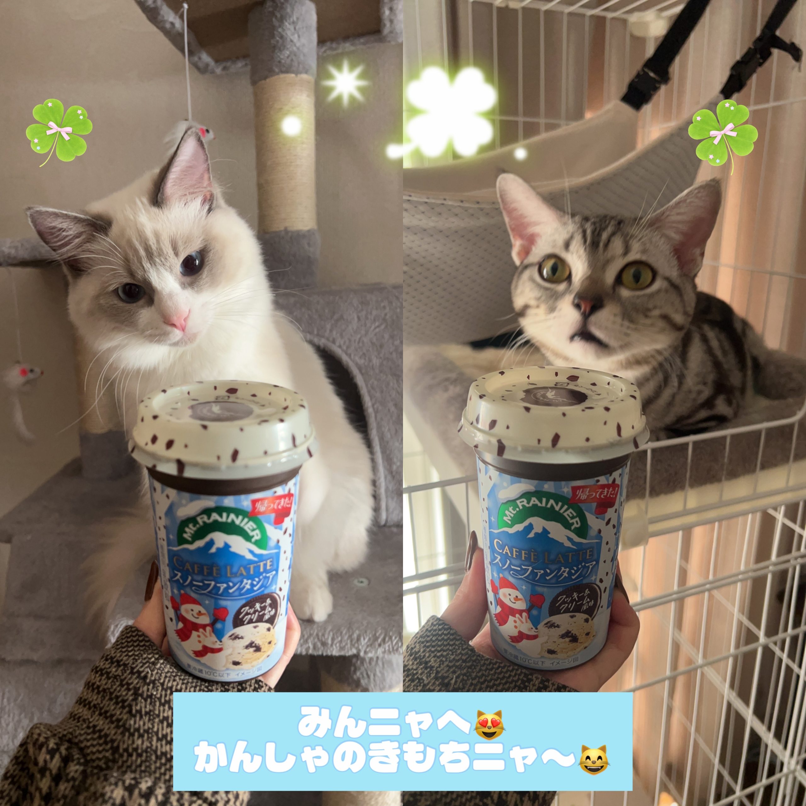 img_9859-scaled-jpeg